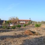 https://fuentealamorealestate.com/images/osproperty/properties/1426/921-mobile-home-for-sale-in-los-almagros-8-large.jpg